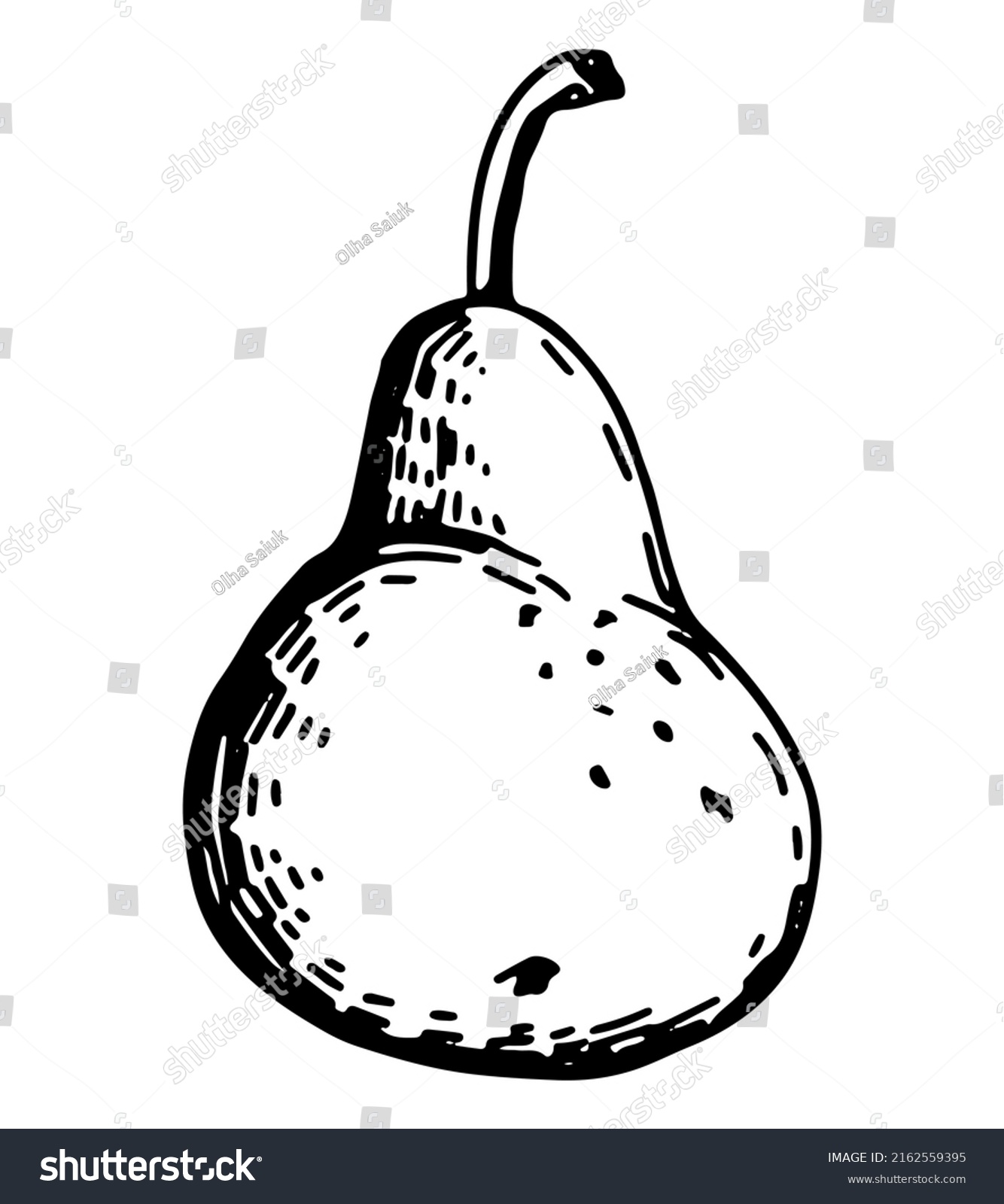 Pear Fruit Sketch Clipart Ripe Tree Stock Vector (Royalty Free ...