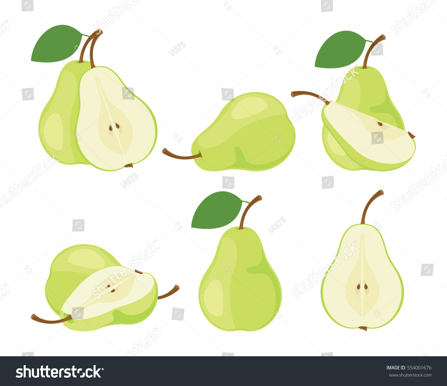 Pears Cut Green Pear Fruits Collection Stock Vector (Royalty Free ...