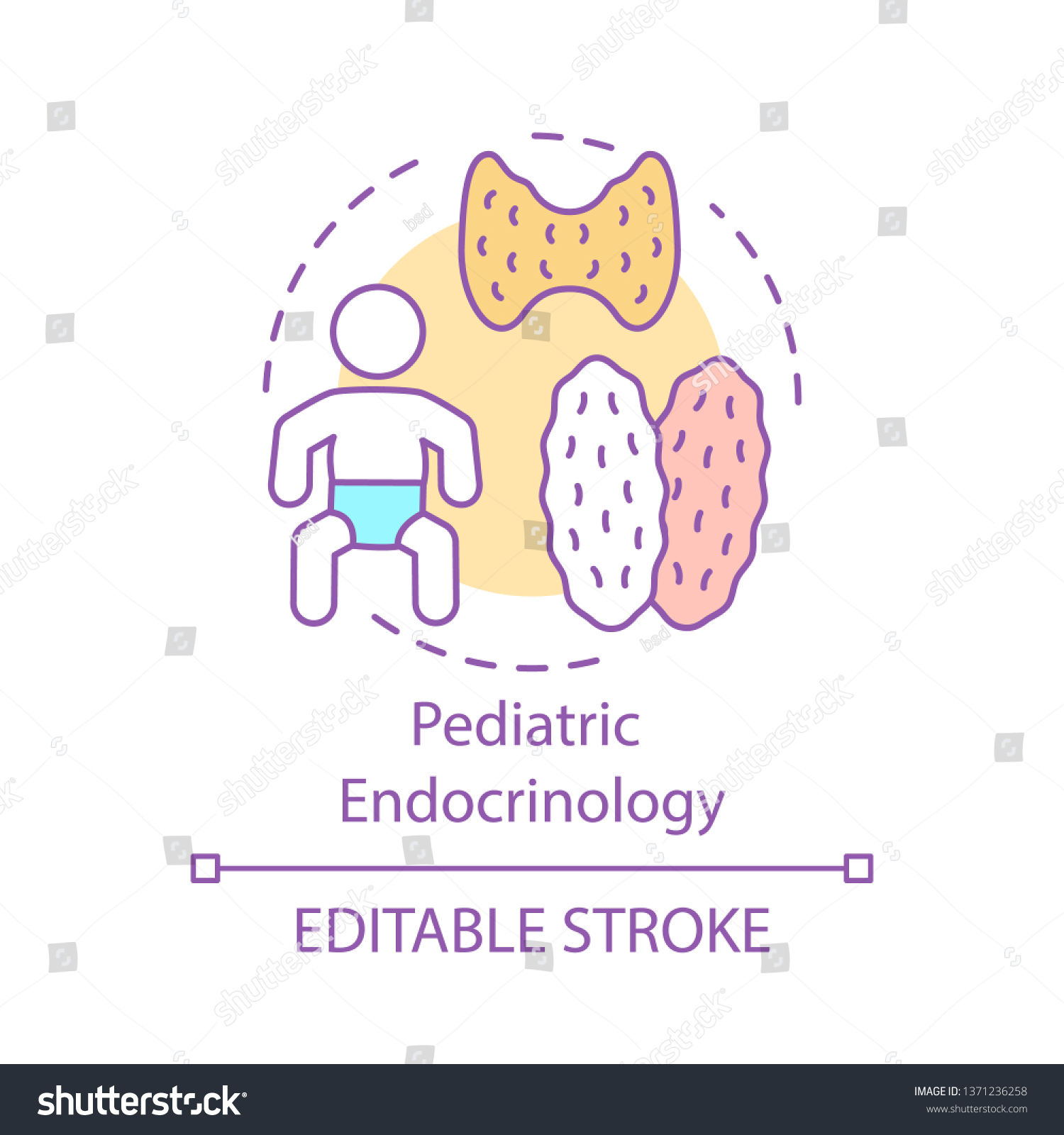 Pediatric Endocrinology Concept Icon Adrenal Thyroid Stock Vector ...