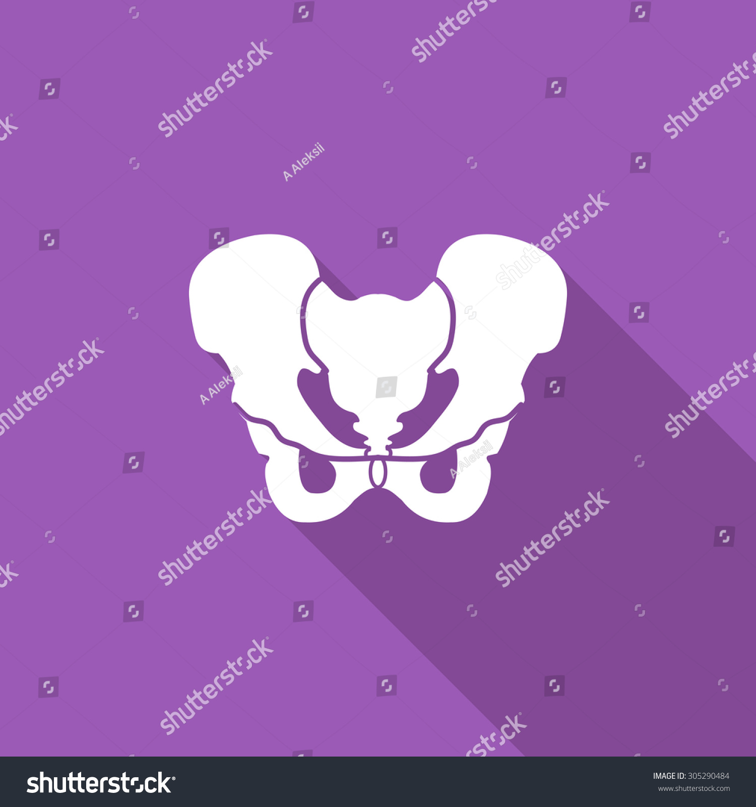 Pelvis Icon Flat Vector Related Icon Stock Vector 305290484 - Shutterstock