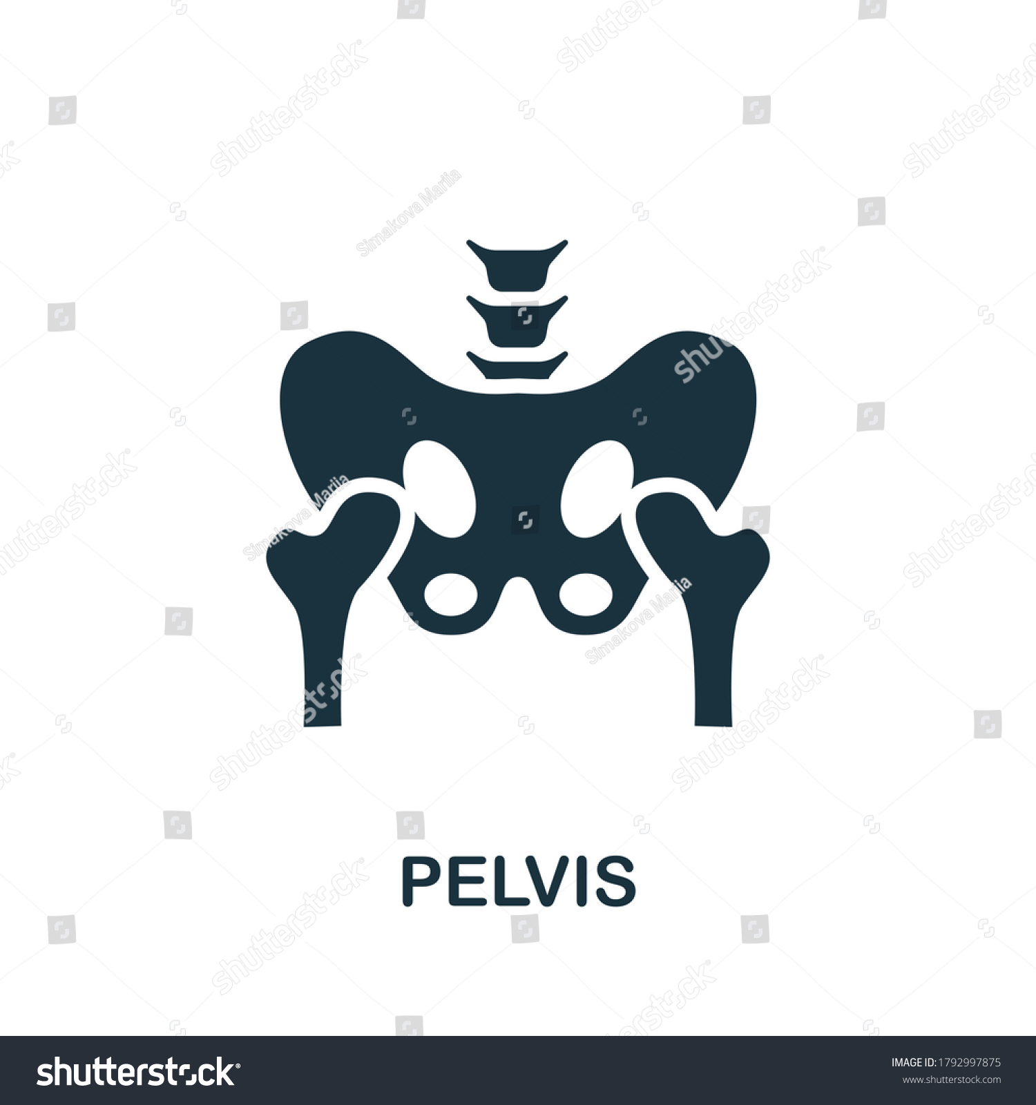 Pelvis Icon Simple Element Internal Organs Stock Vector (Royalty Free ...