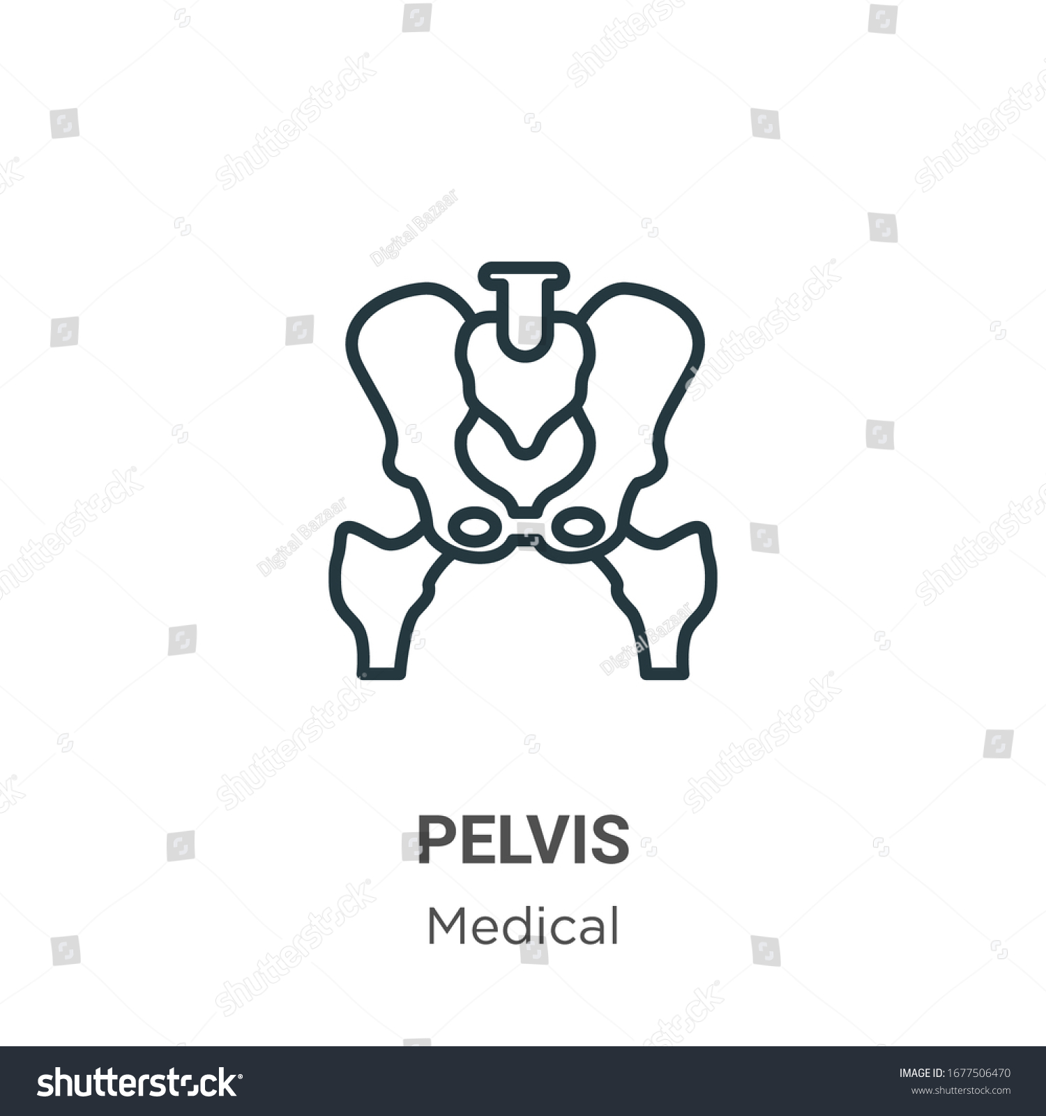 Pelvis Outline Vector Icon Thin Line Stock Vector (Royalty Free) 1677506470