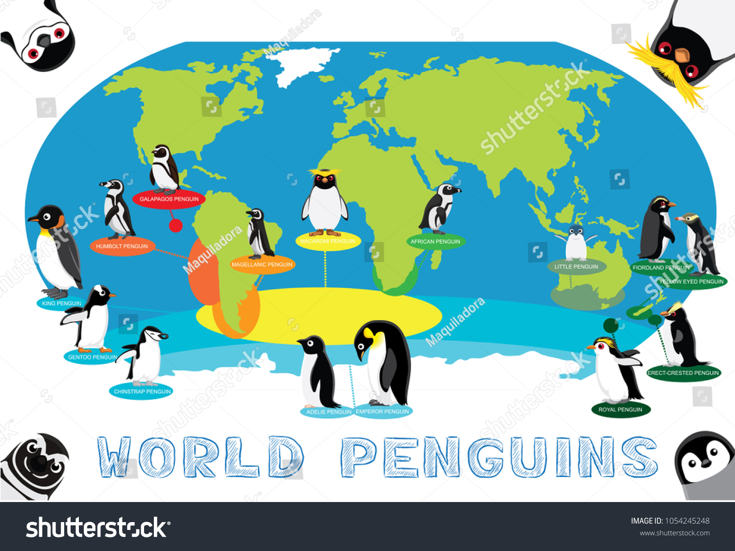 Penguin Distribution World Map Cartoon Vector Stock Vector