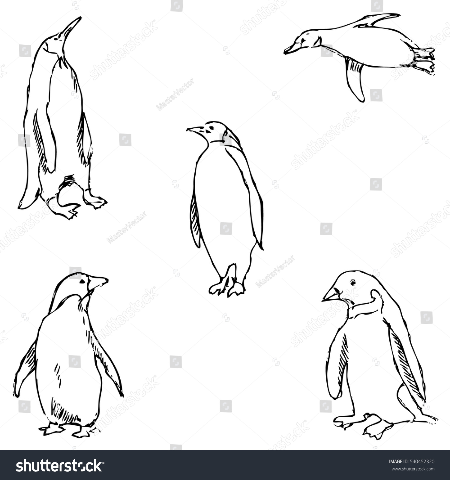 Penguins Sketch By Hand Pencil Drawing Stock Vector (Royalty Free