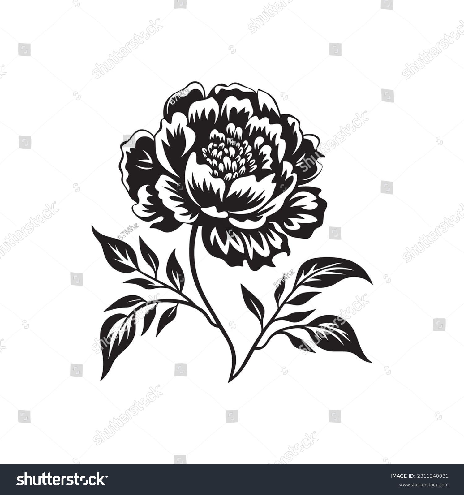SVG of Peony flower , black sillouette, lines thick and connected. Park and garden flowers svg