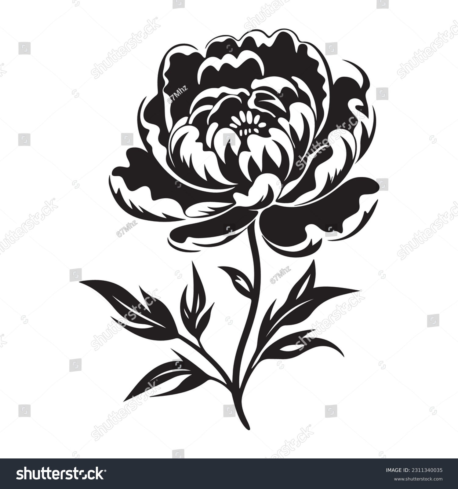 SVG of Peony flower , black sillouette, lines thick and connected. Park and garden flowers svg