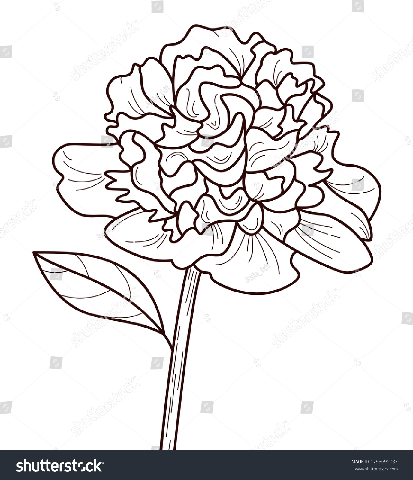 Peony Flower Outline Style Vector Illustration Stock Vector (Royalty ...