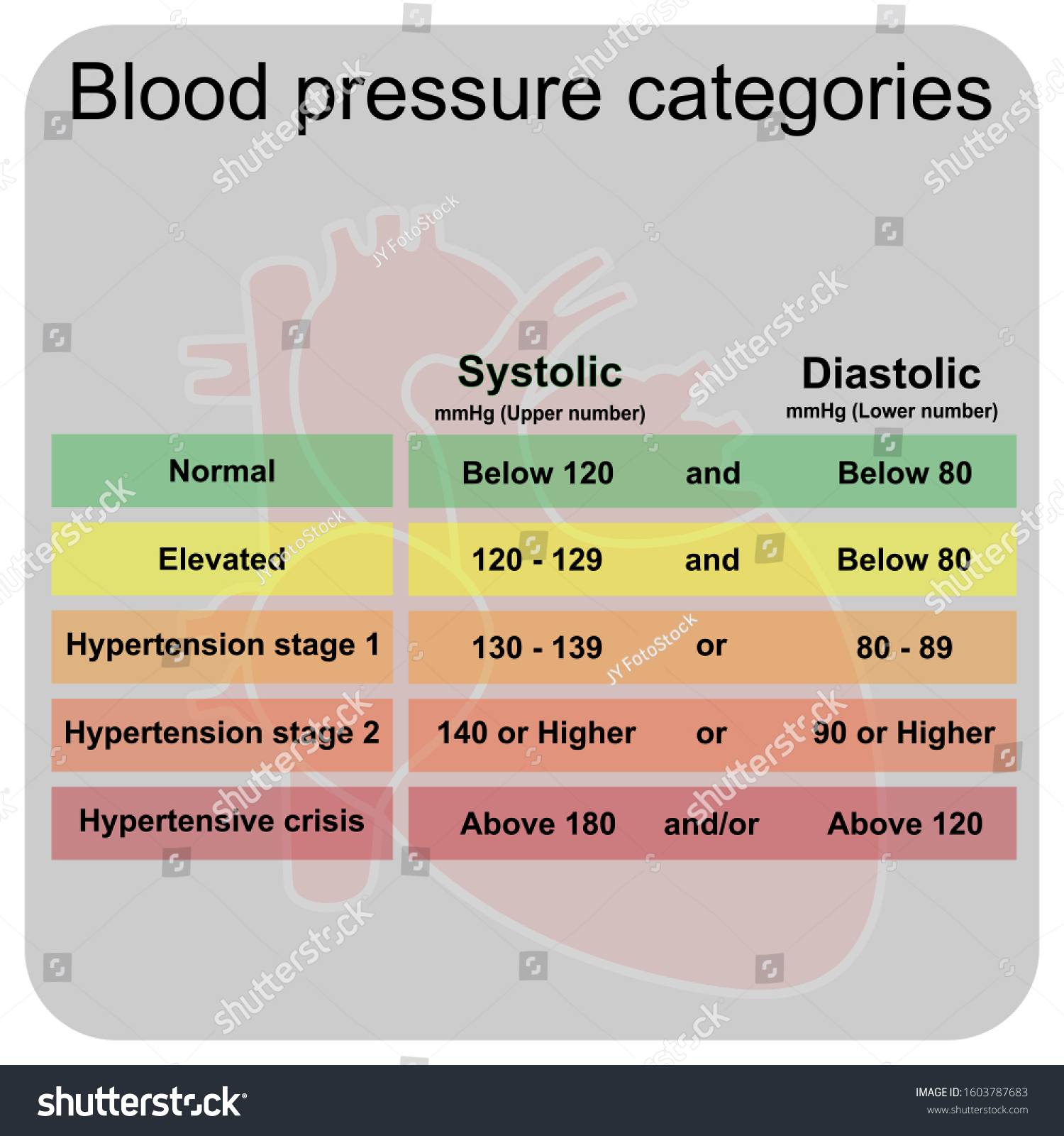 Periodic Table Blood Pressure Categories Infographic Stock Vector ...