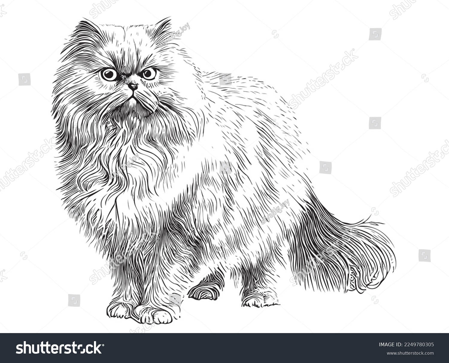 SVG of Persian white fluffy cat hand drawn sketch Vector illustration svg