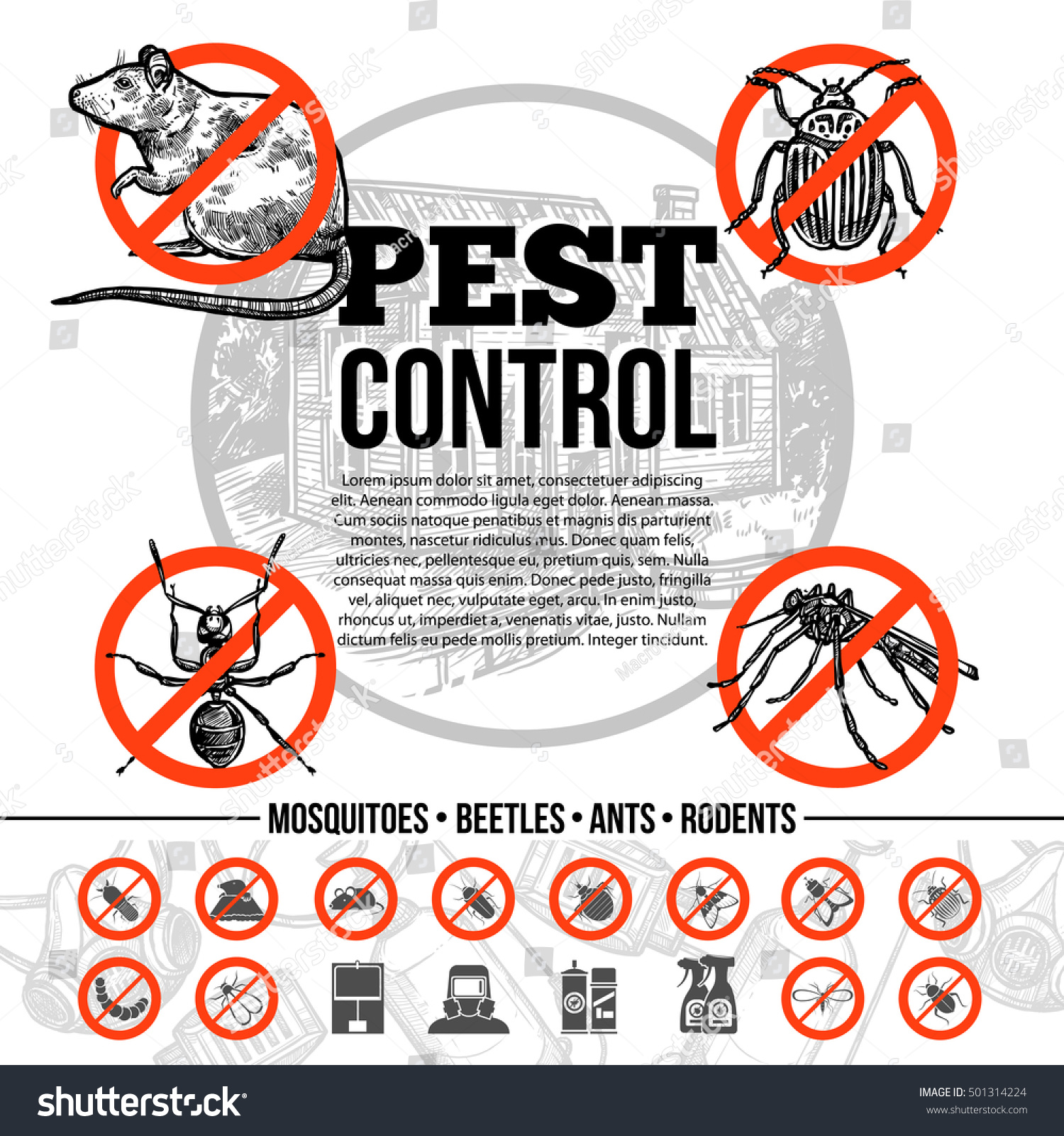 Pest Control Infographics Icons Insects Rat Stock Vector (Royalty Free ...