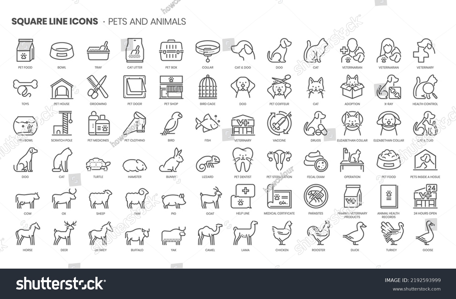 SVG of Pets and animals related, pixel perfect, editable stroke, up scalable square line vector icon set.  svg