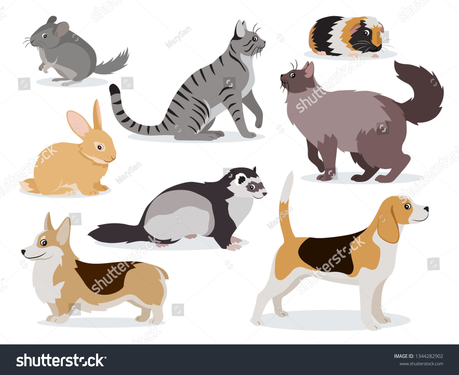 SVG of Pets icon set, cute gray chinchilla, fluffy ferret, smooth coated and domestic long-haired cats, corgi, beagle, dogs, rabbit, guinea pig isolated, vector illustration in flat style svg