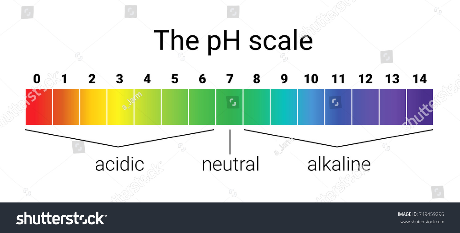 Ph Scale Infographic Acidbase Balance Scale Stock Vector 749459296 ... for Ph Scale Acids And Bases
183qdu Ph Scale Infographic Acidbase Balance Scale Stock Vector 749459296 ... for Ph Scale Acids And Bases
183qdu