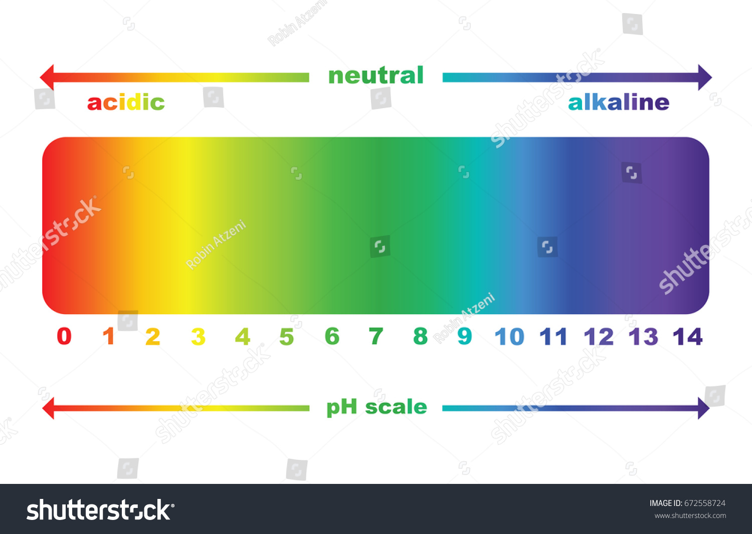 Ph Scale Value Ph Paper Test Stock Vector (Royalty Free) 672558724