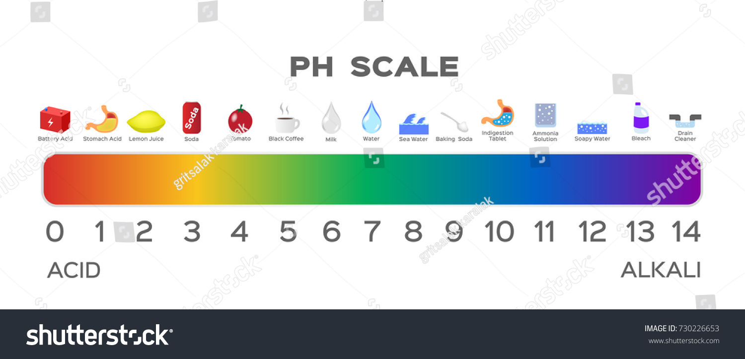 Ph Scale Vector Graphic Acid Base Stock Vector 730226653 ... for Ph Scale Acids And Bases
588gtk Ph Scale Vector Graphic Acid Base Stock Vector 730226653 ... for Ph Scale Acids And Bases
588gtk