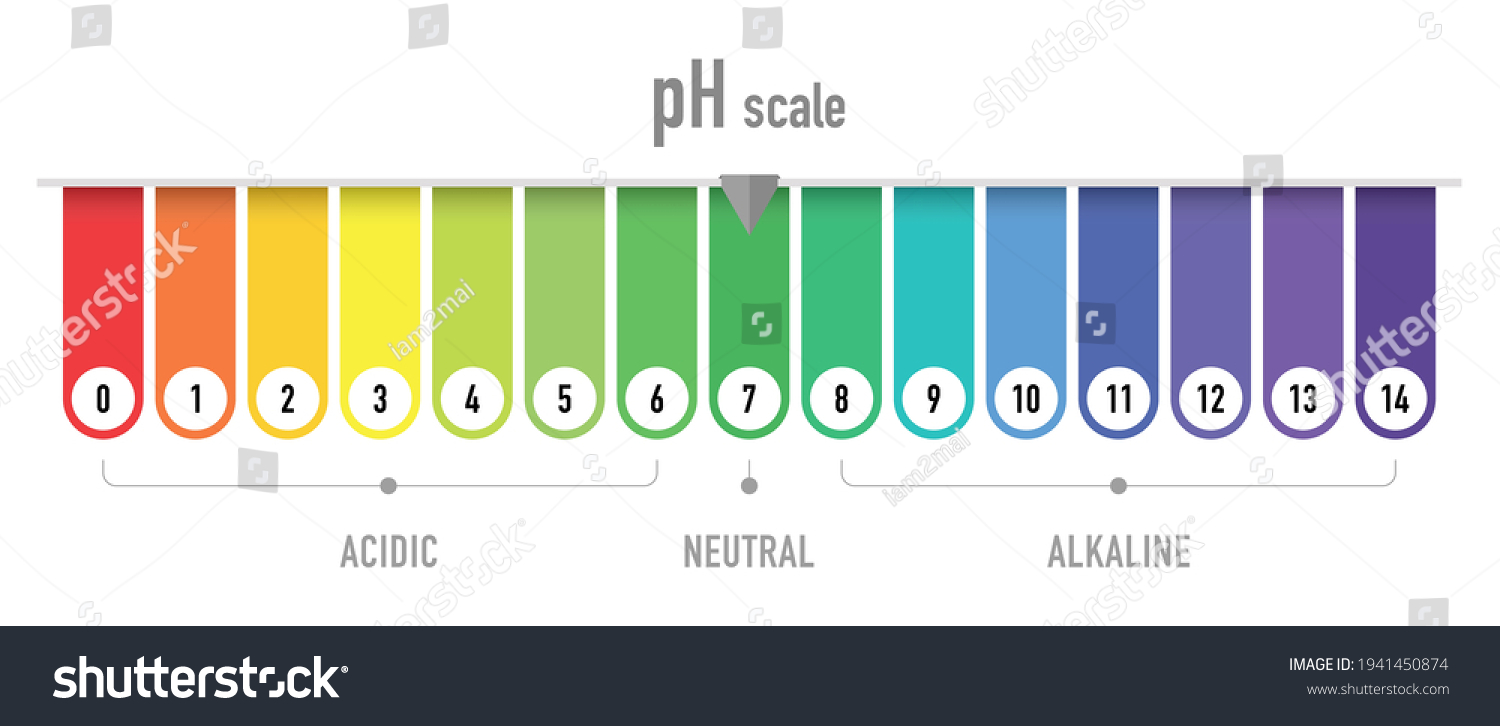 Ph Value Scale Chart Acid Alkaline Stock Vector (Royalty Free ...