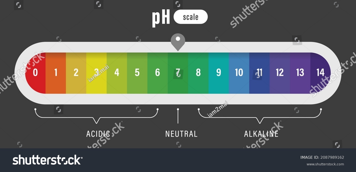 Ph Value Scale Chart Acid Alkaline Stock Vector (Royalty Free ...