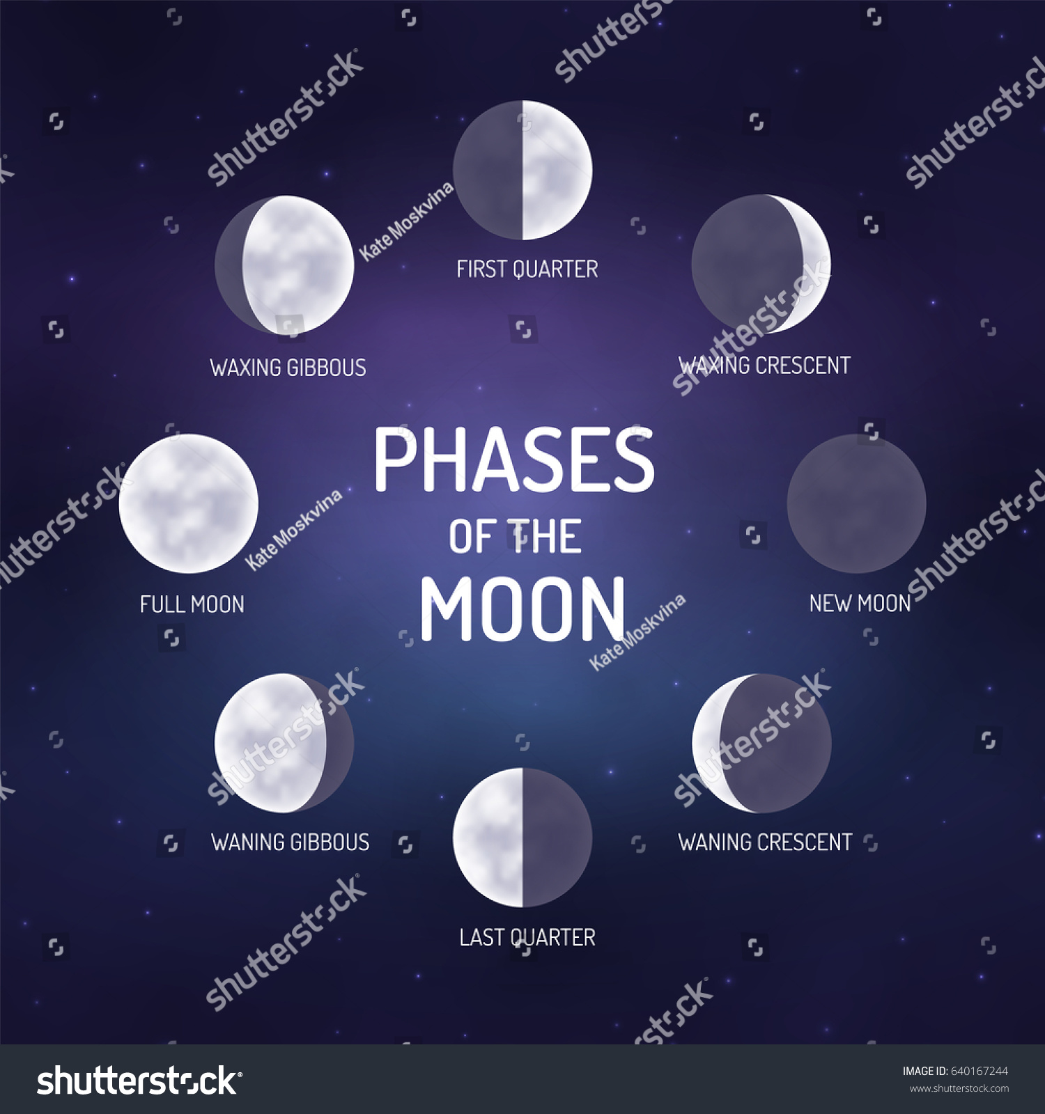 Phases Moon Educational Poster School Vector Stock Vector 640167244 ...