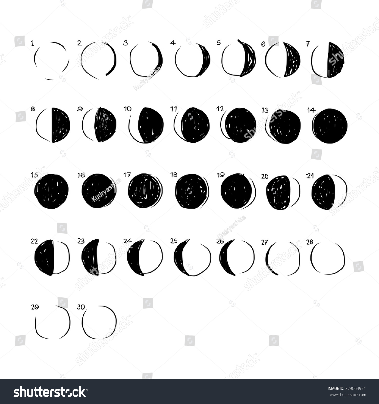 Phases Moon Sketch Your Design Stock Vector 379064971 - Shutterstock