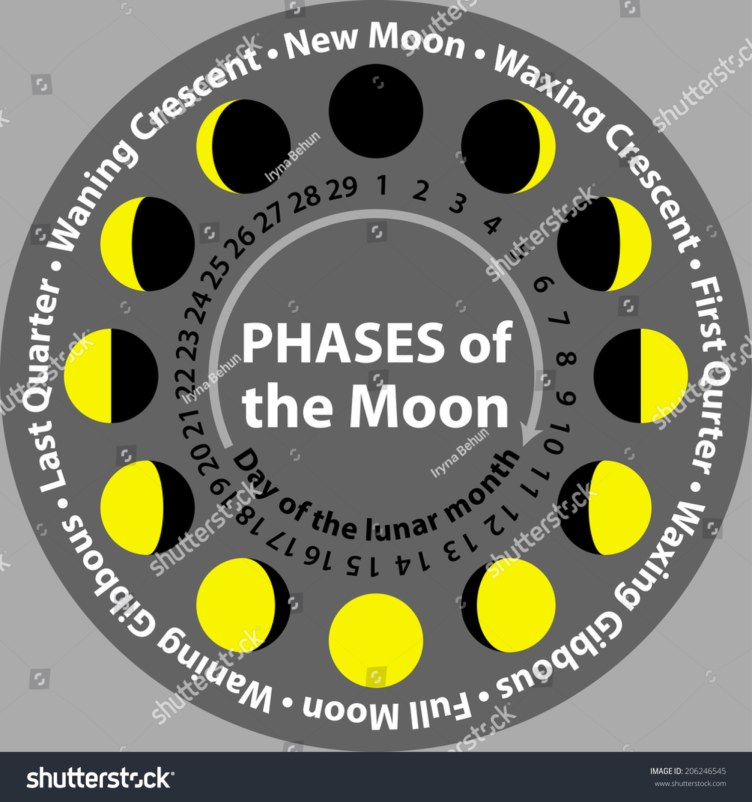 Phases Moon Days Lunar Month 206246545 Shutterstock