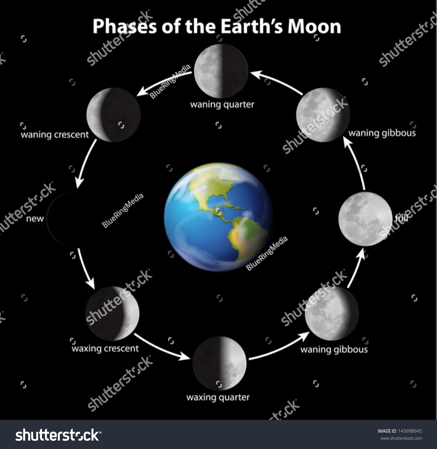 Phases On Moon Seen Earth Stock Vector 143998945 - Shutterstock