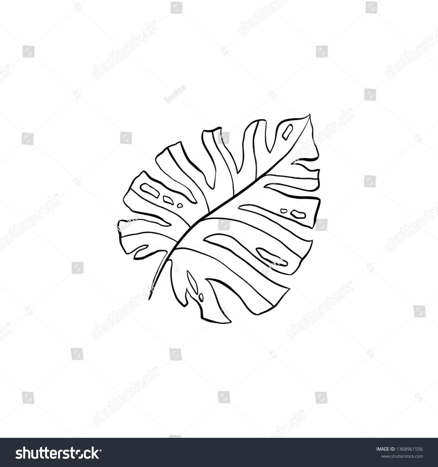 Philodendron Plant Line Art Illustration Houseplant Stock Vector