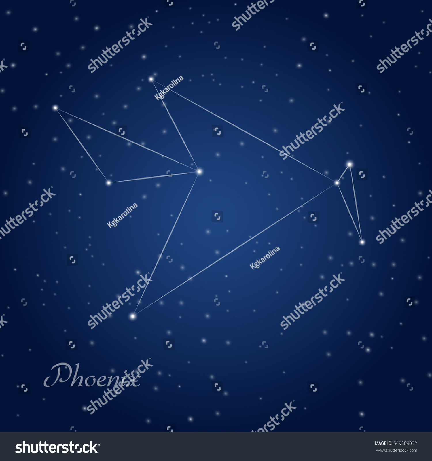 Phoenix Constellation Starry Night Sky Stock Vector (Royalty Free ...