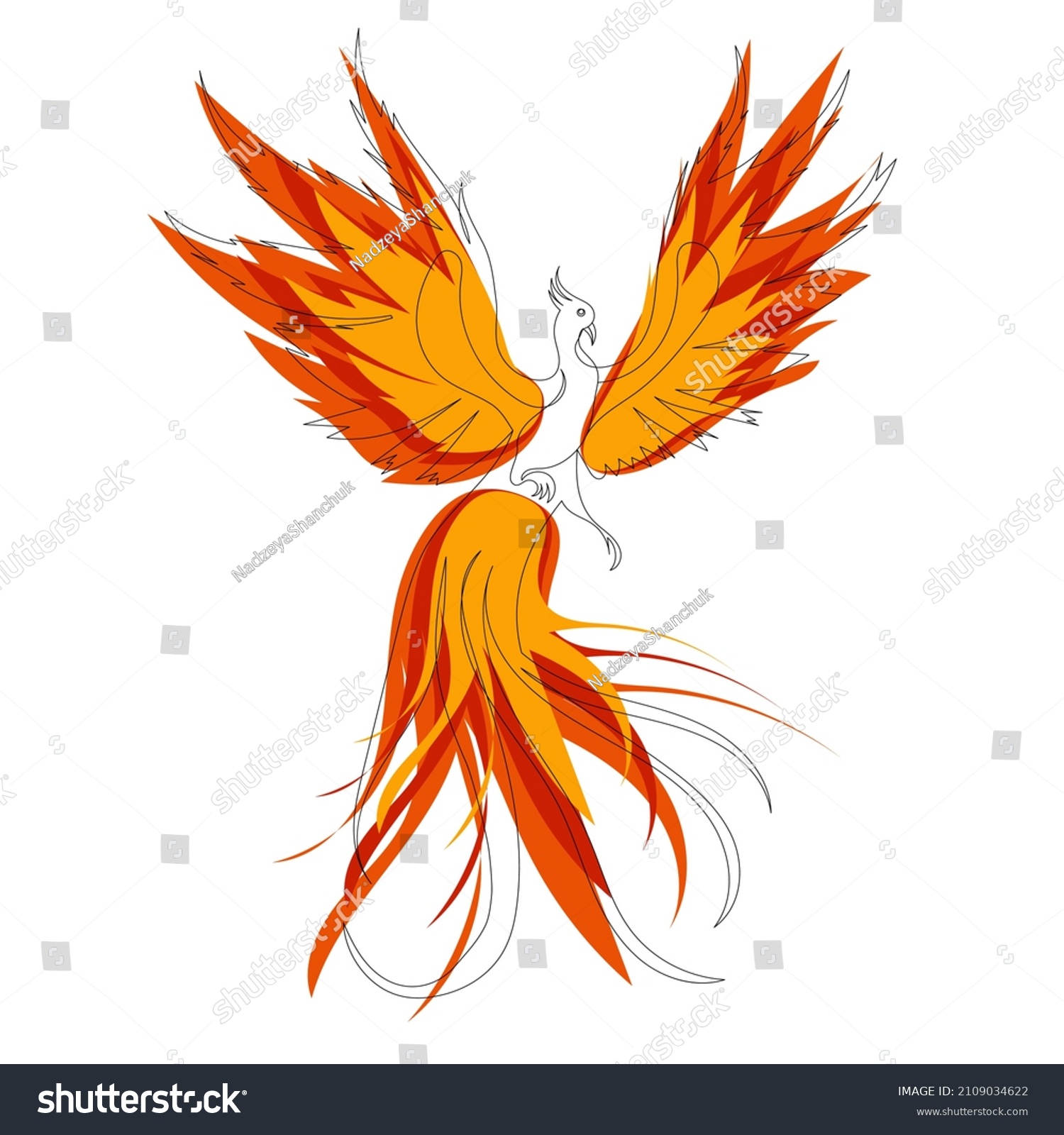 Phoenix Continuous Line Drawing Sketchvector Stock Vector (Royalty Free ...