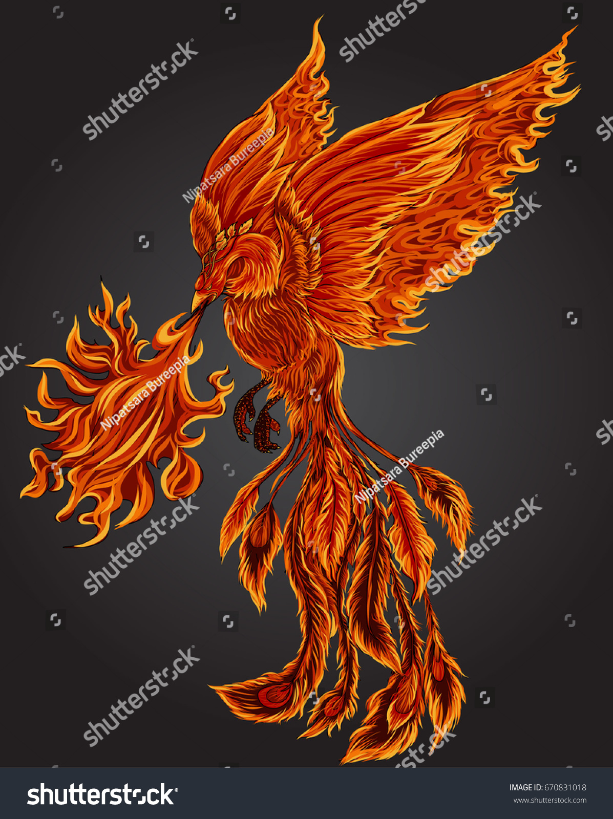 Vetor Stock De Phoenix Fire Bird Illustration Character Design Hand