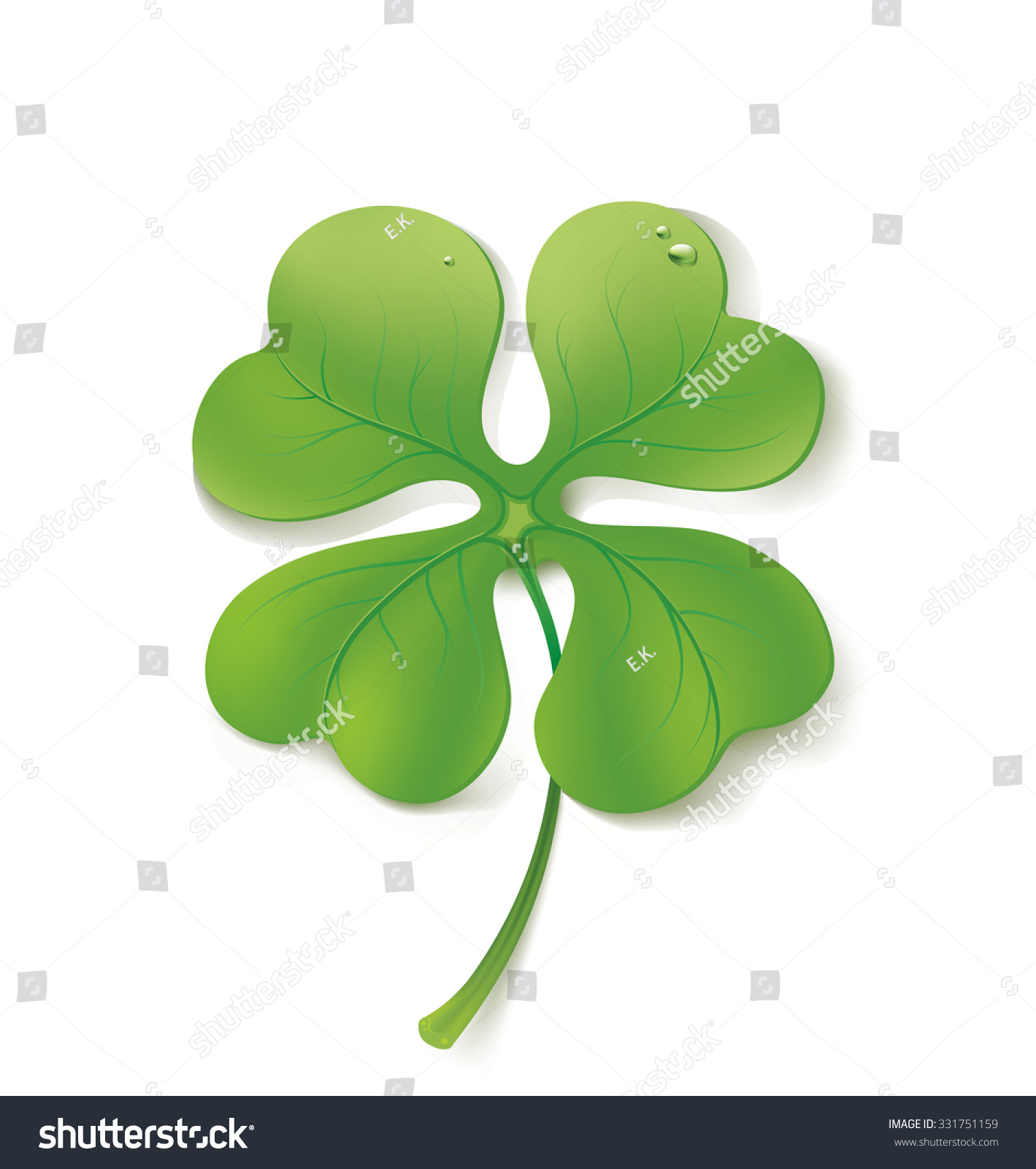 Photo Realistic Illustration Clover Stock Vector (Royalty Free ...