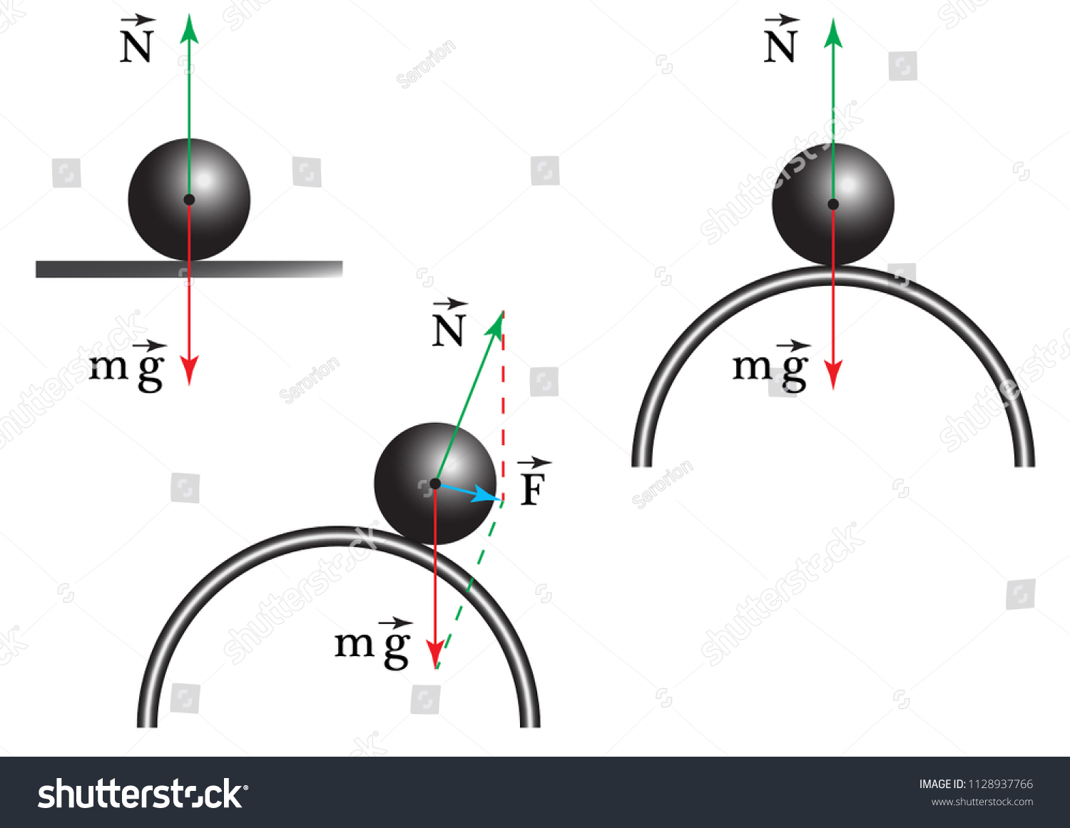 Physical Experiment On Study Equilibrium Condition Stock Vector ...