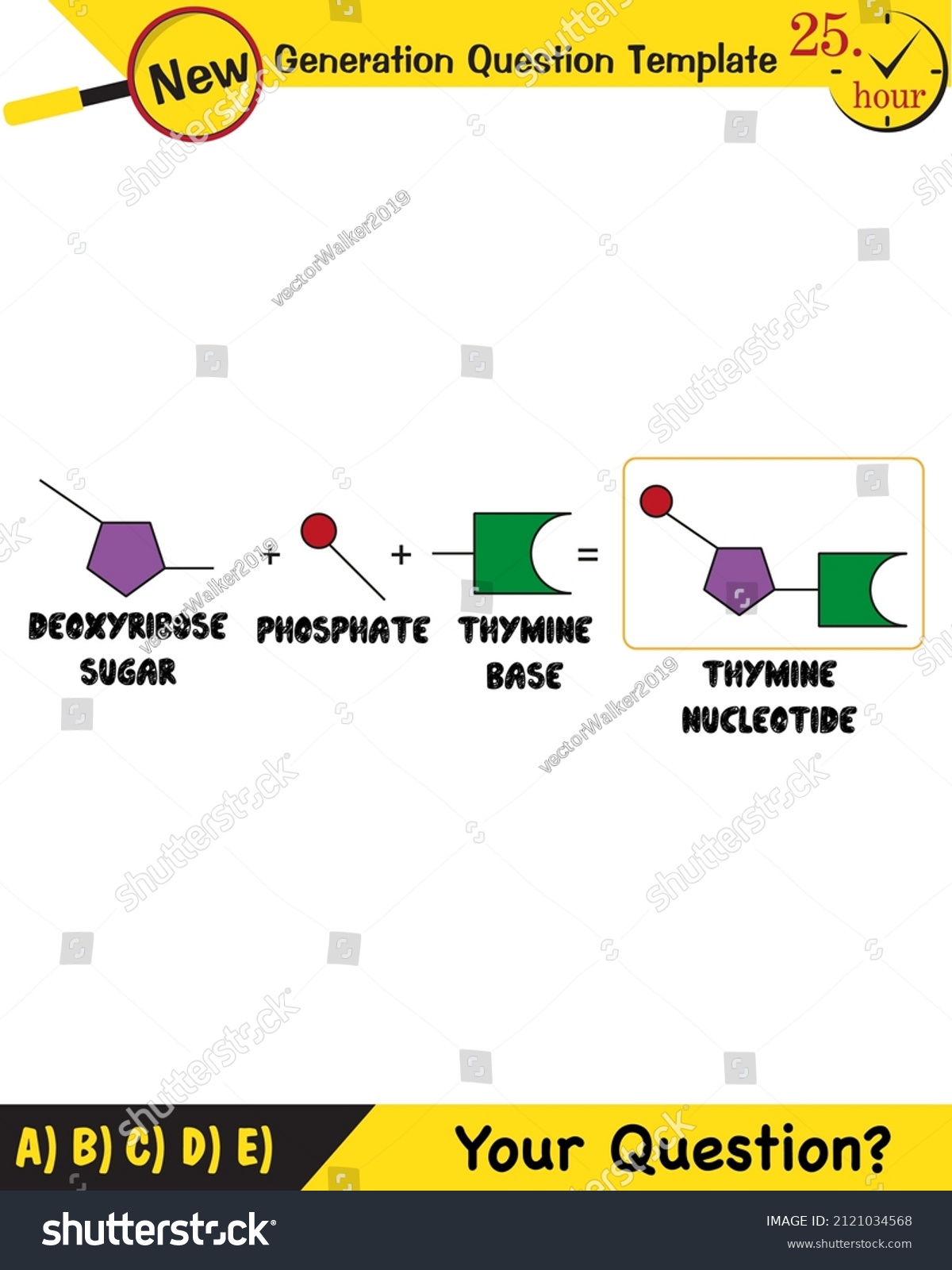 Physics Adenine Nucleotide Structure Nucleotides Nitrogenous Stock Vector Royalty Free 2121034568