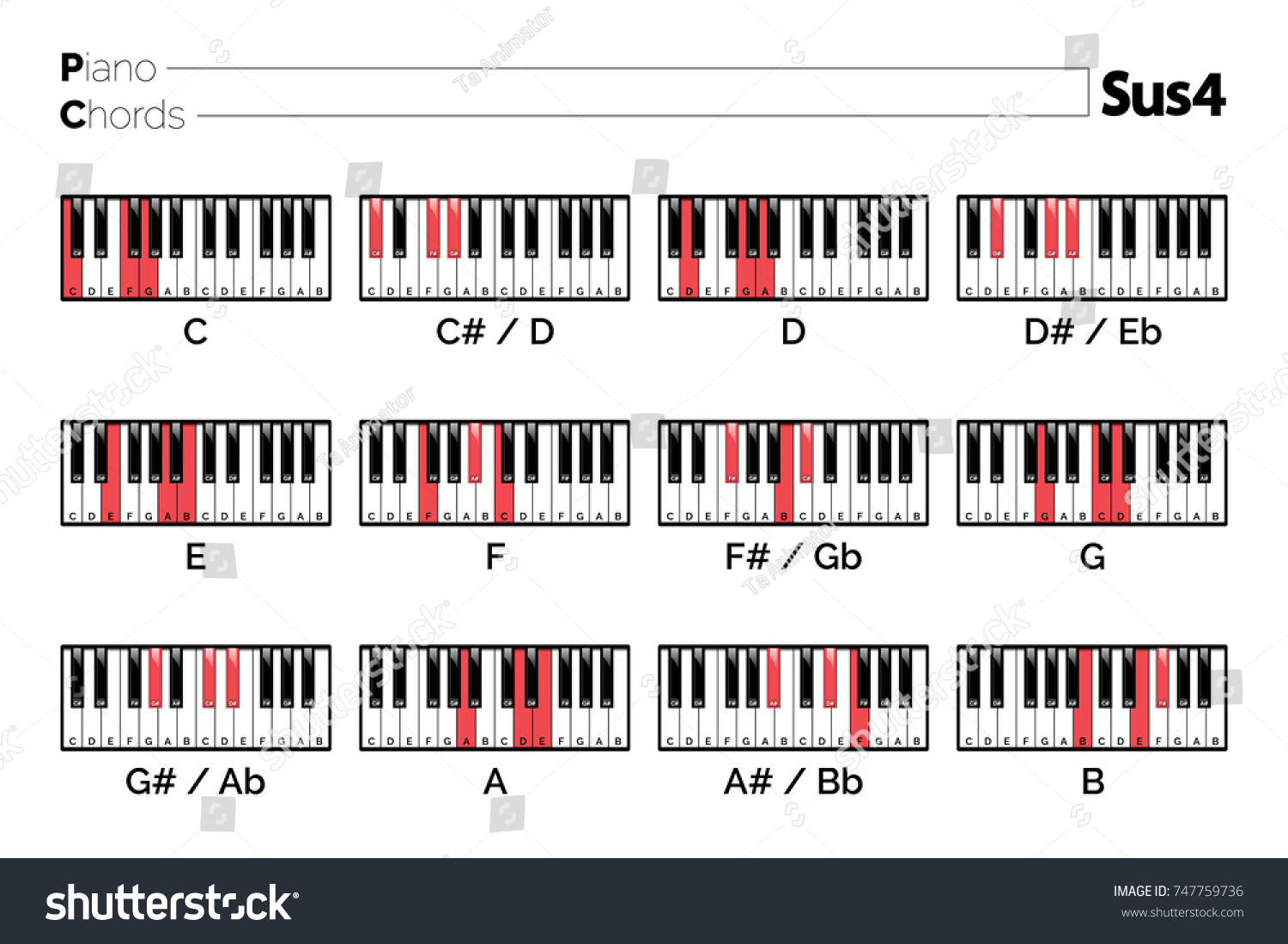 Piano Chord Sus4 Chart Graphic Music Stock Vector Royalty Free