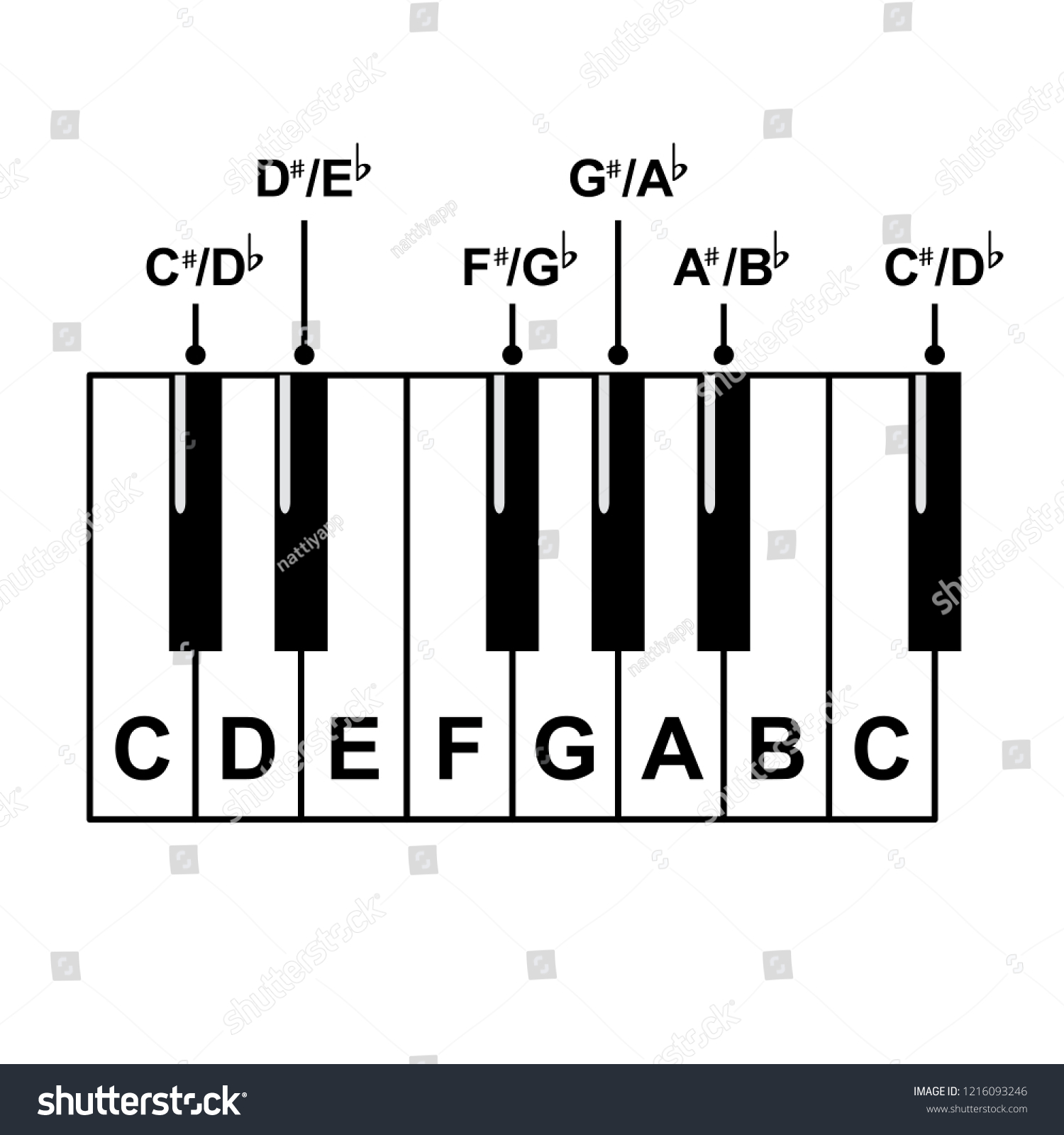 Piano Keyboard Diagram Piano Keyboard Layout Stock Vector (Royalty Free