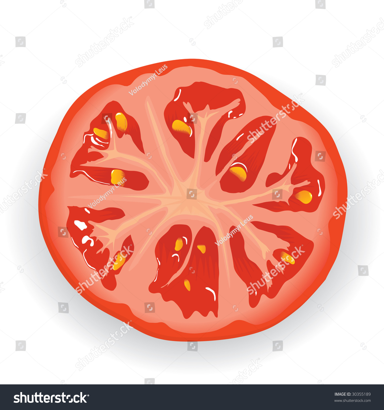 Piece Fresh Tomato Vector Cmyk Stock Vector (Royalty Free) 30355189 ...