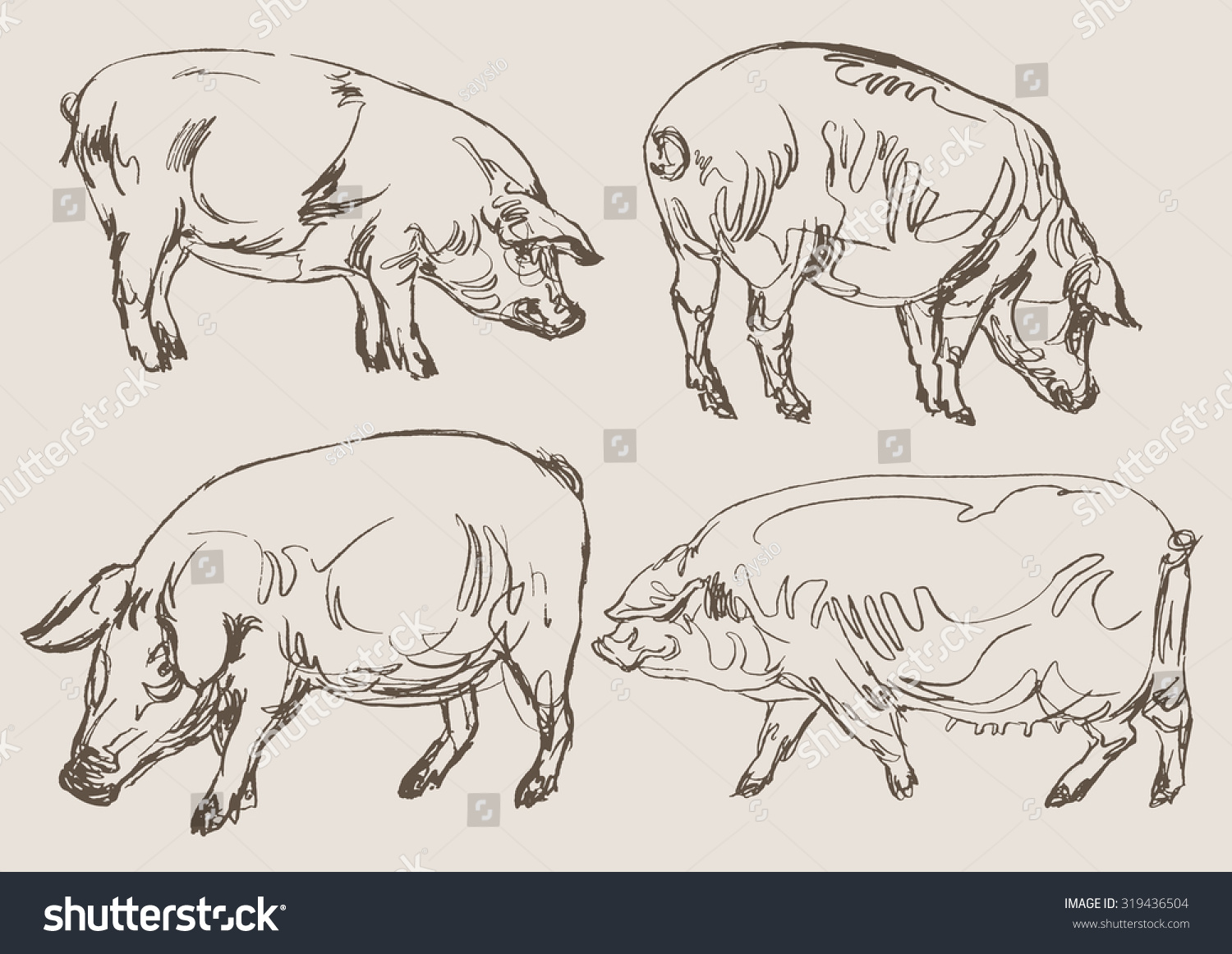 Pigs Vector, Hand Draw Sketch - 319436504 : Shutterstock