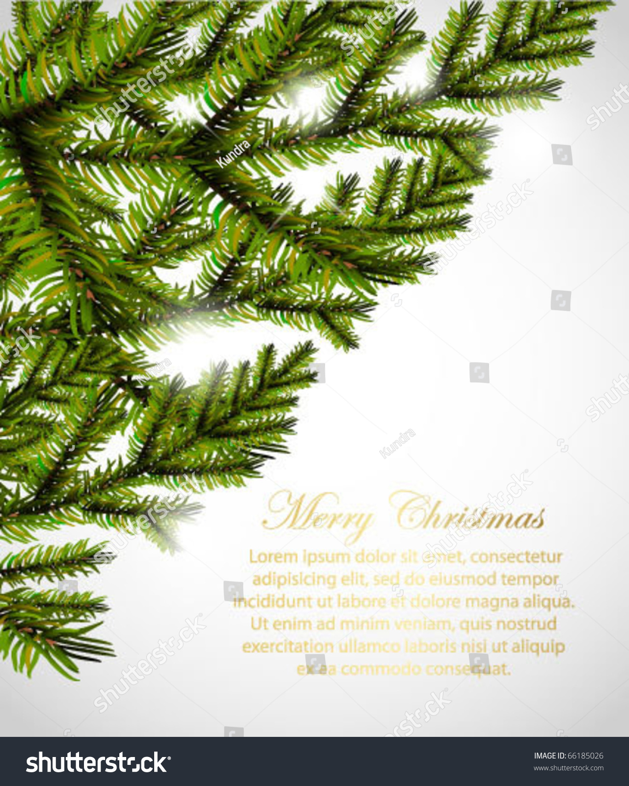 Pine Tree Border Design Stock Vector Illustration 66185026 : Shutterstock