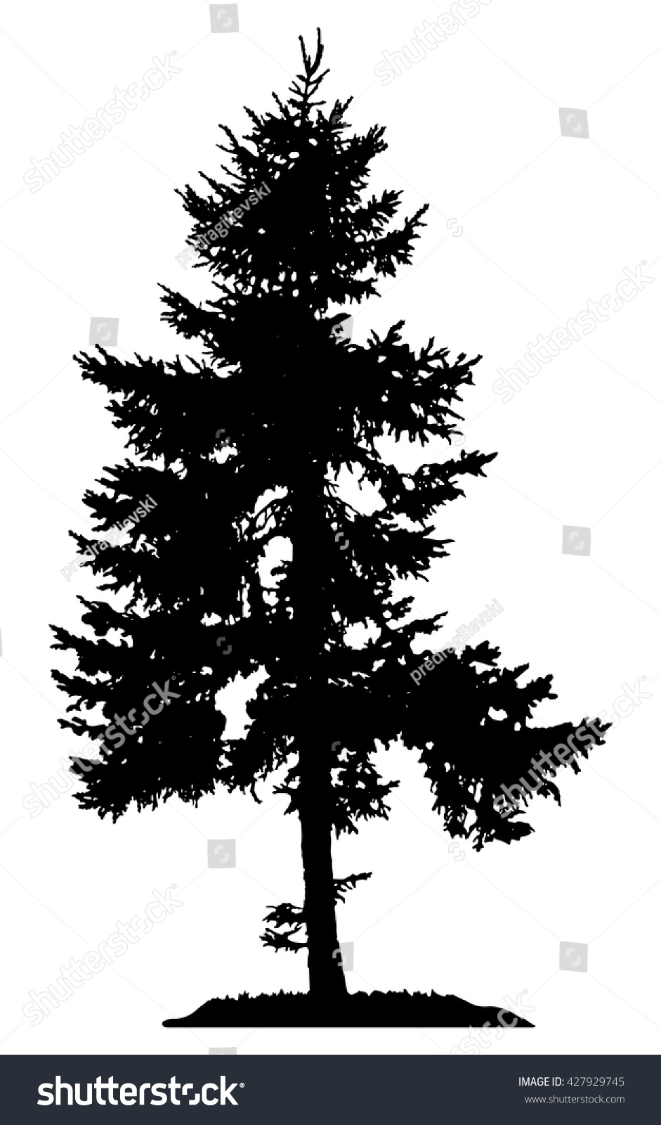 Download Pine Tree Silhouette Stock Vector 427929745 - Shutterstock