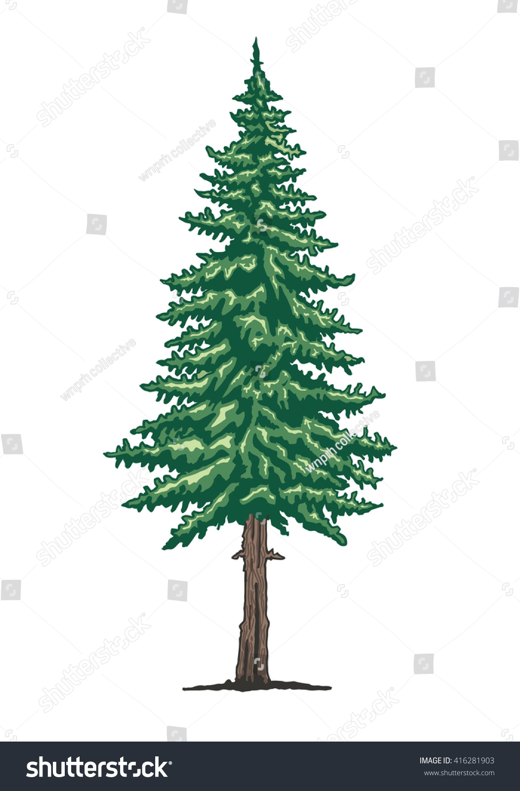 Pine Tree Vector Illustration Stock Vector 416281903 - Shutterstock