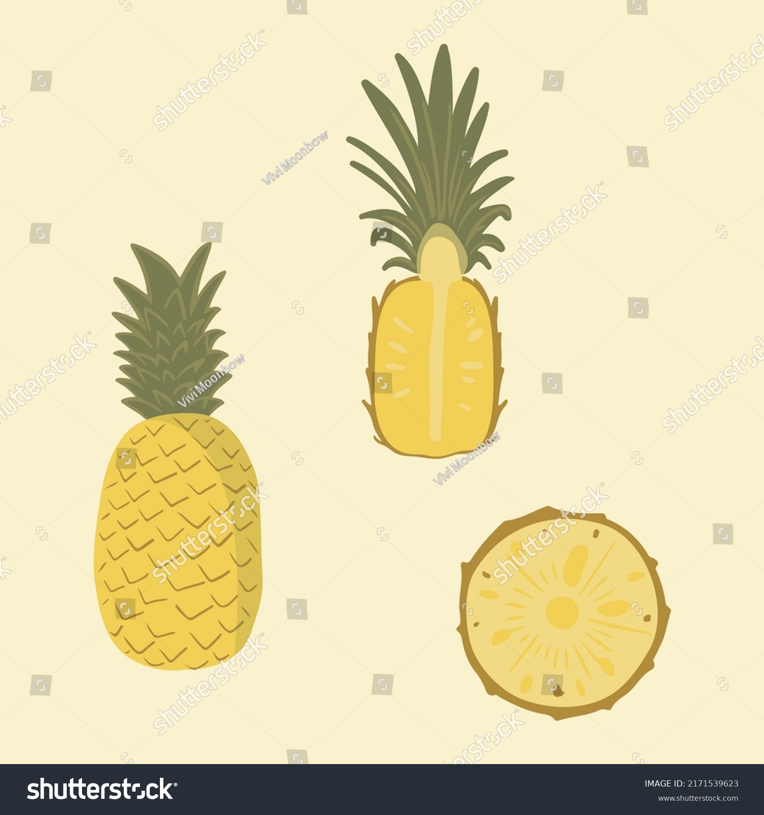 Pineapple Vector Illustration Set Handdrawn Pineapple Stock Vector Royalty Free