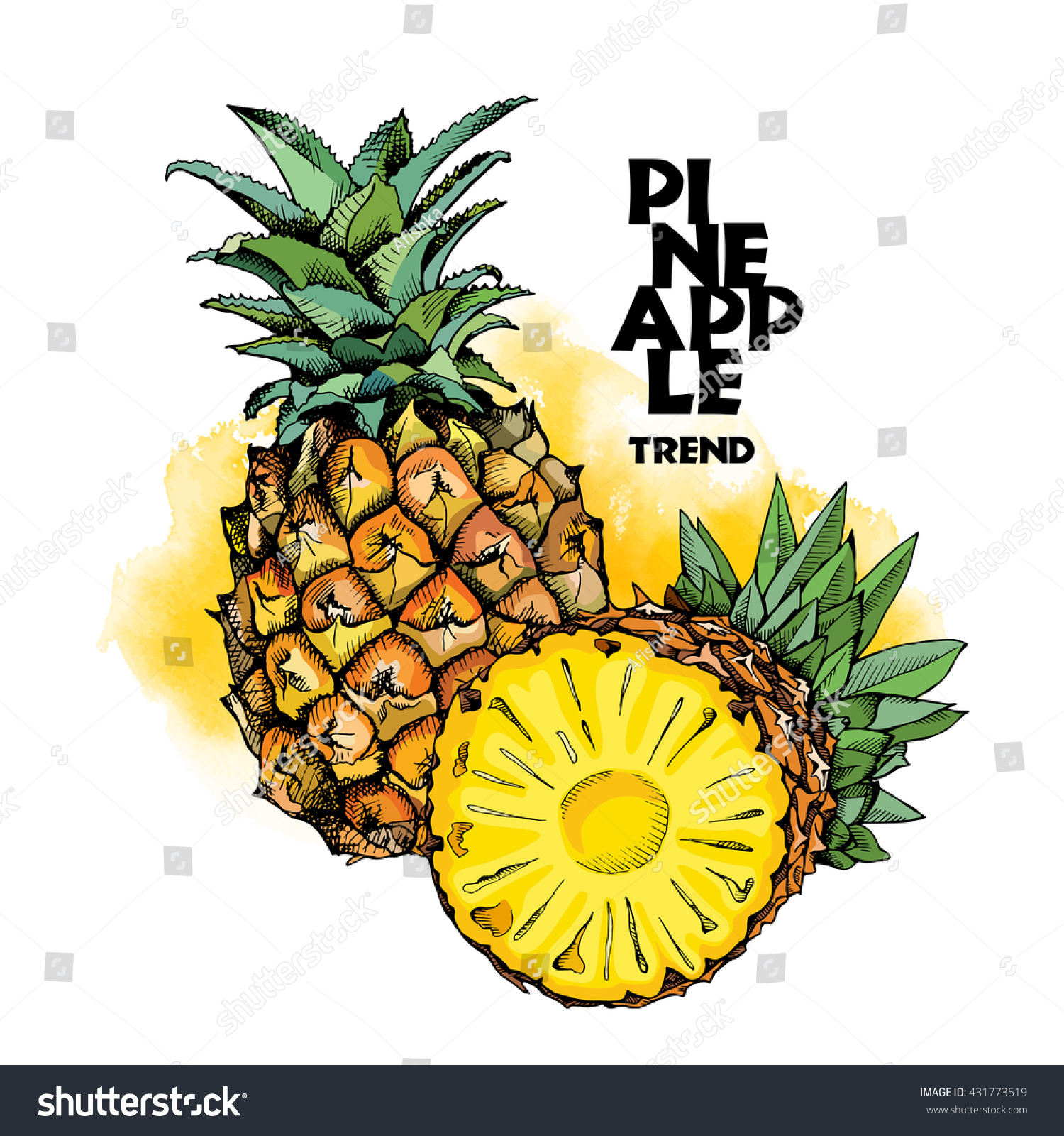 Pineapples Fruit Color Vector Illustration Stock Vector Royalty Free 431773519 0003