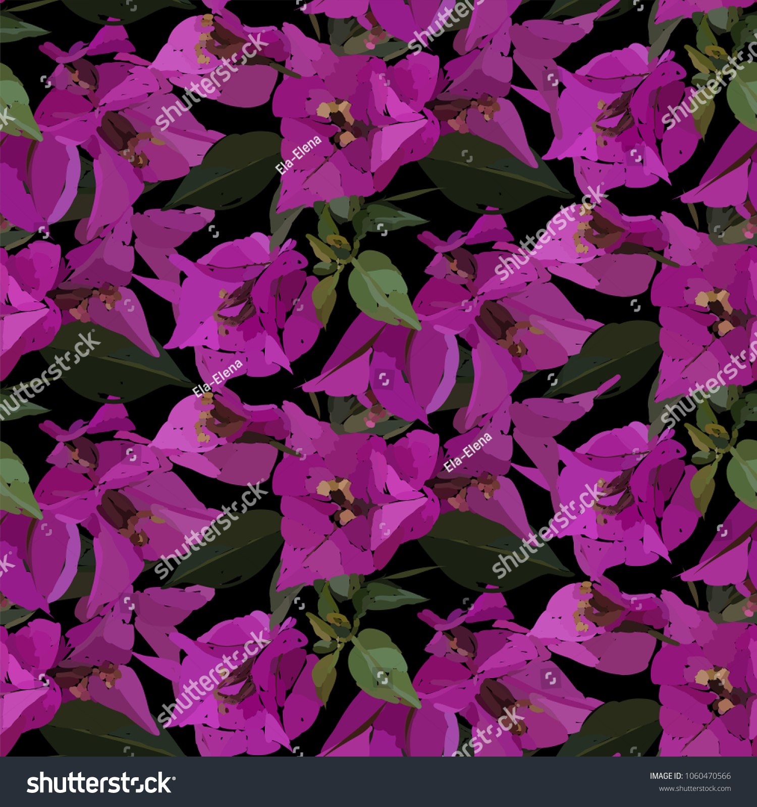 10,441 Wallpaper bougainvillea Images, Stock Photos & Vectors