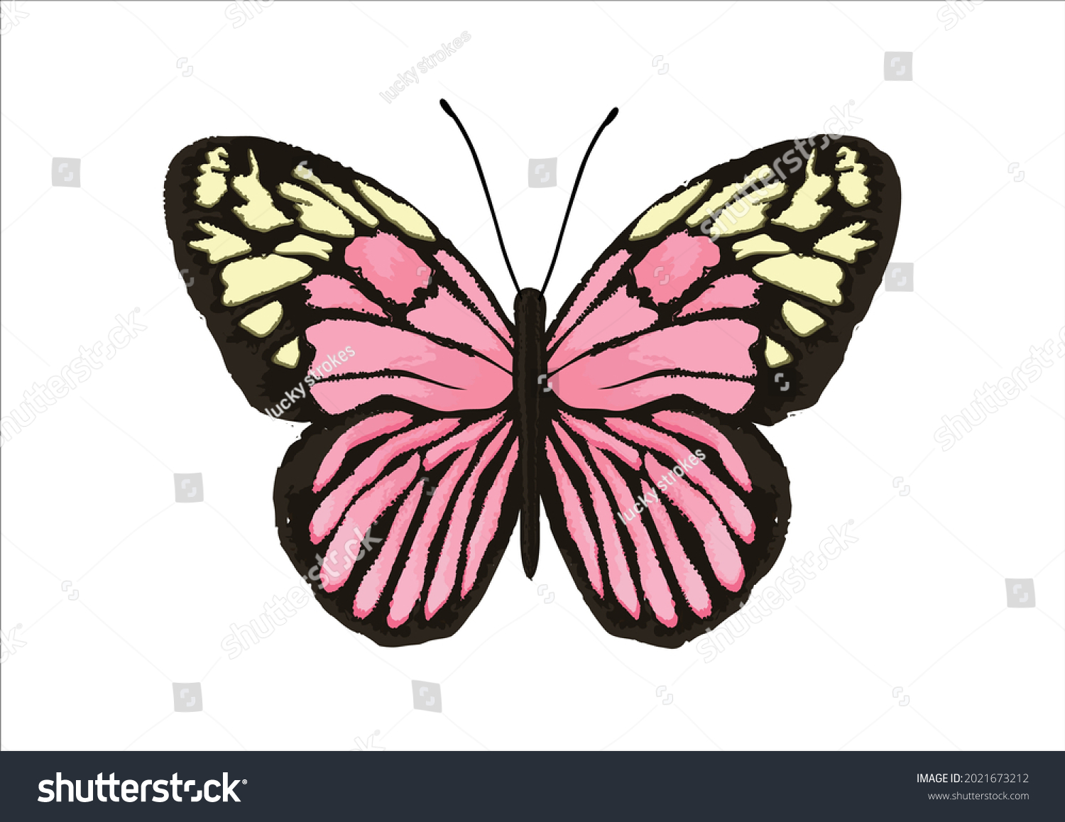 Pink Butterfly Vector Art Design Hand Stock Vector Royalty Free 2021673212 Shutterstock Pink Butterfly Vector Art Design Hand Stock Vector Royalty Free 2021673212 Shutterstock