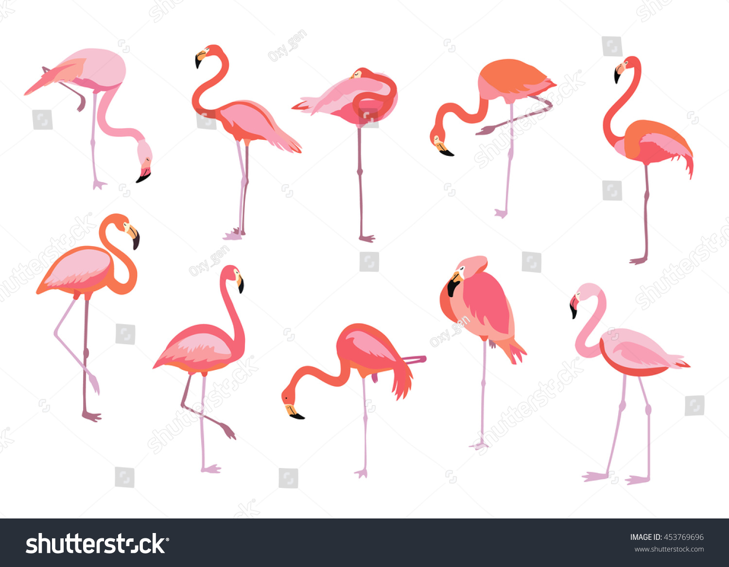 Pink Flamingo Set Vector Illustration Cool Stock Vector 453769696 ...