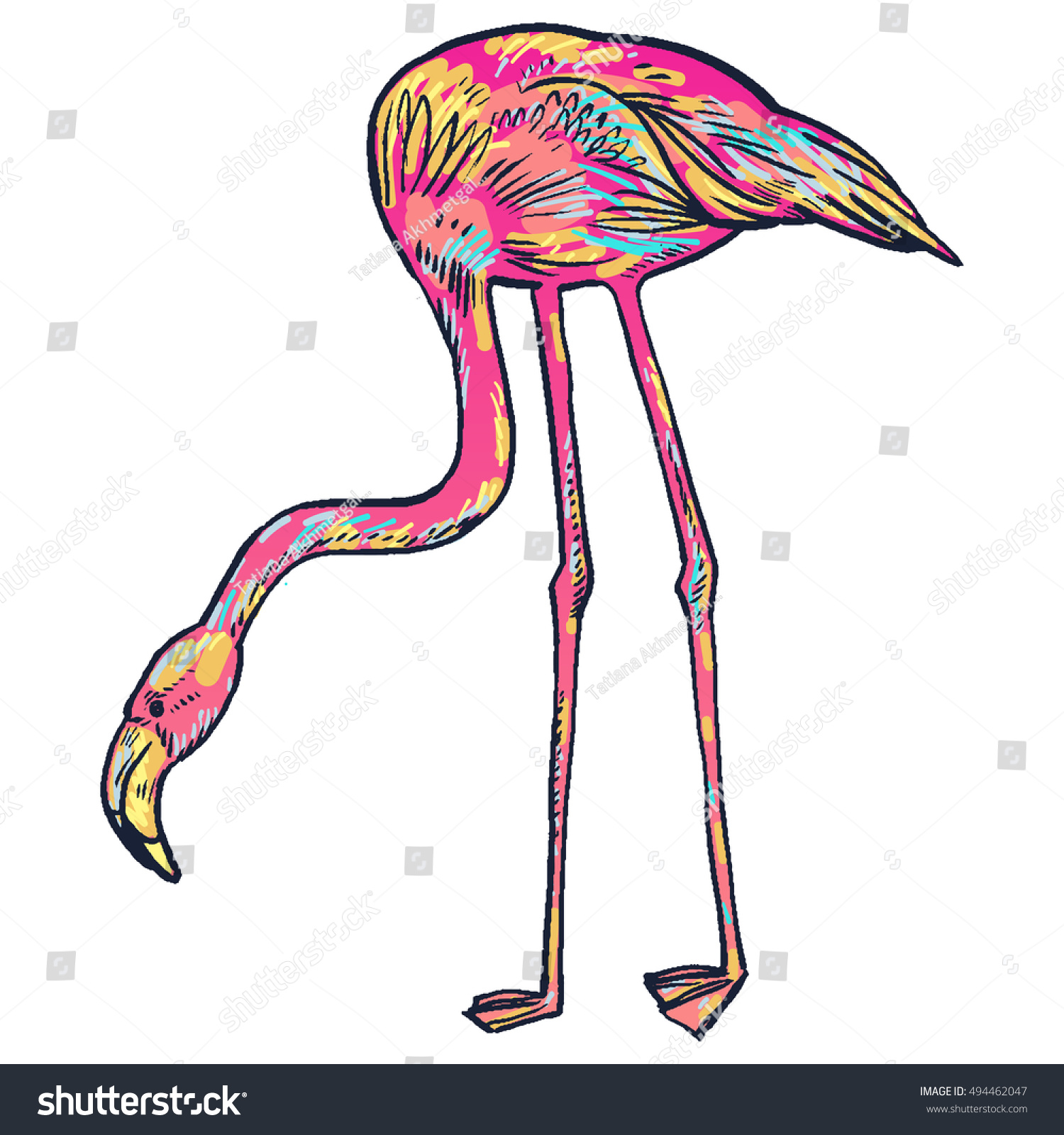 Pink Flamingo Vector Illustration Isolated Vector De Stock Libre De Regalías 494462047