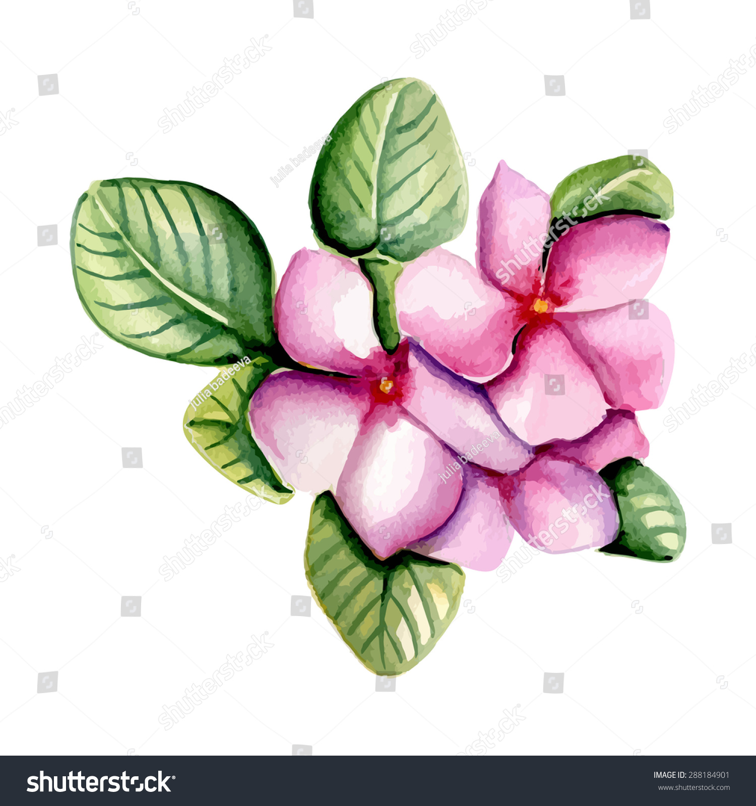 Pink Flower Watercolor Hand Drawing Vector Stock Vector (Royalty Free ...