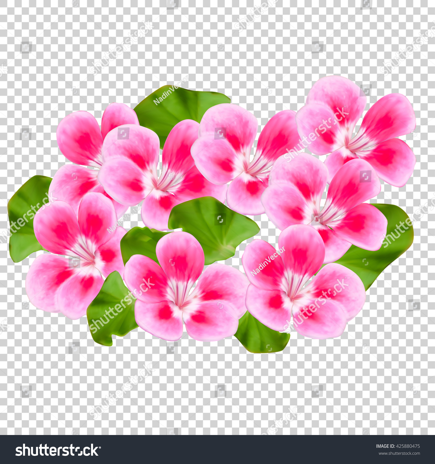 Pink Flowers On Transparent Background Stock Vector 425880475