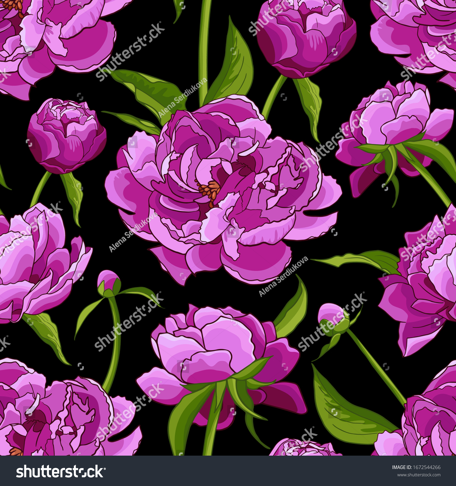 Pink Peonies Green Leaves On Black Stock Vector Royalty Free 1672544266