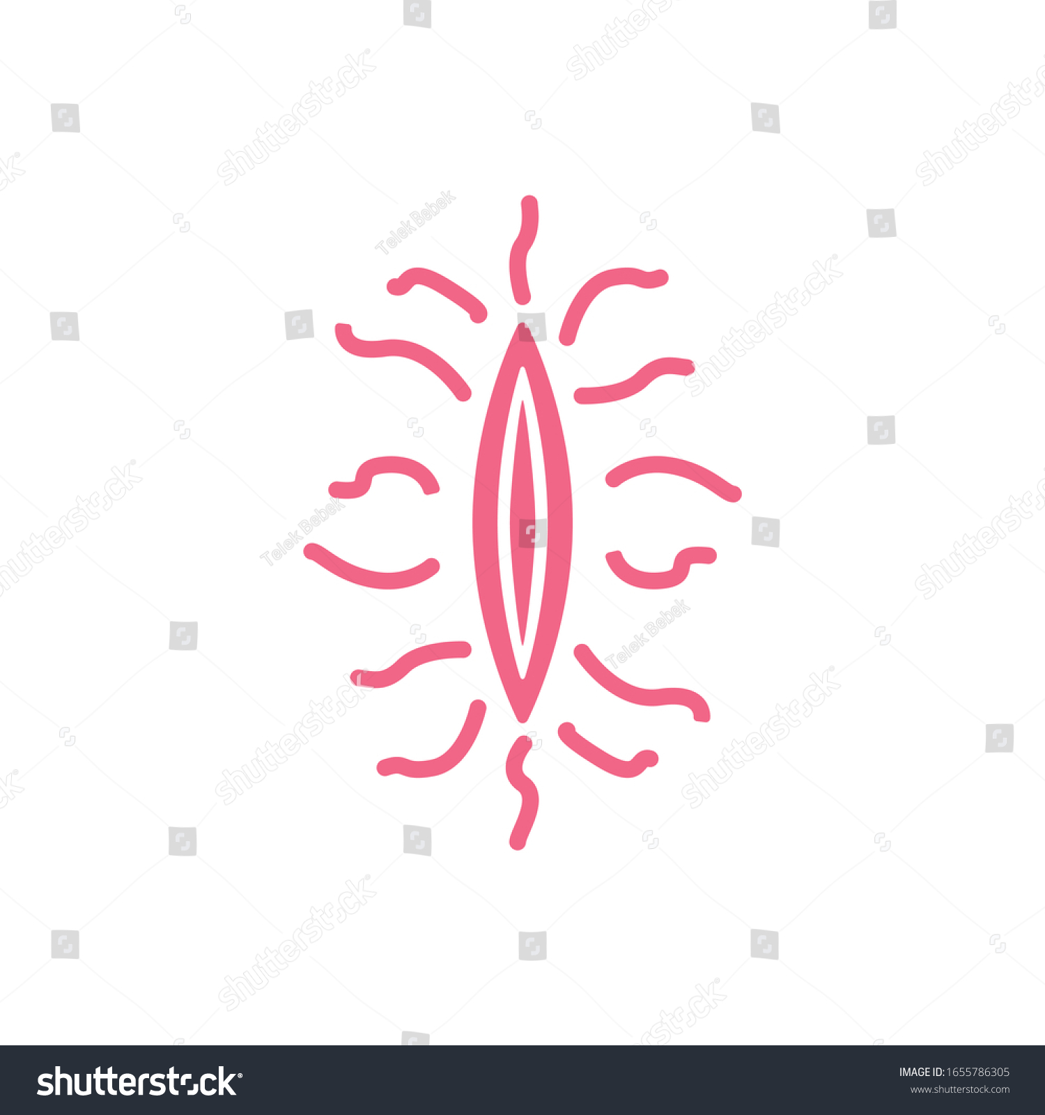 Pink Vagina Logo Design Vector Illustration Stock Vector Royalty Free