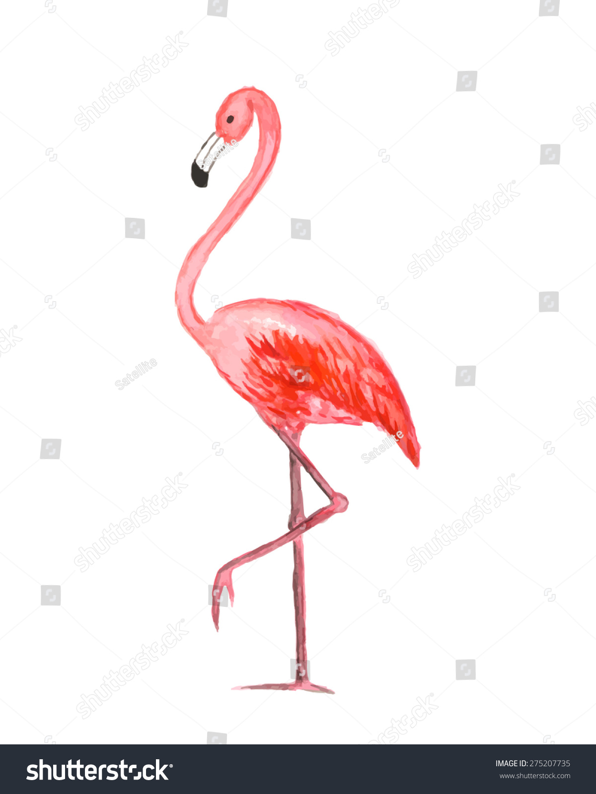 Pink Watercolor Flamingo Vector Illustration Stock Vector Royalty Free